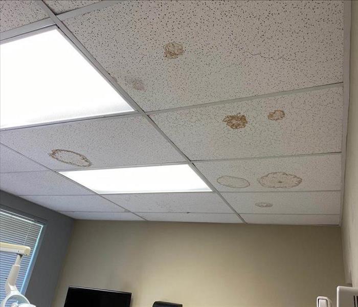 Celling titles with brown spots. 